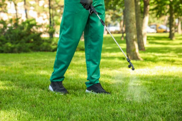 Oakland Lawn Treatment
